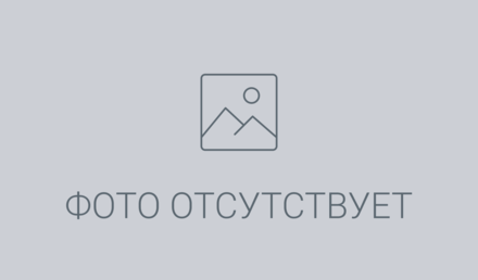 RVi-2NCT5379 (2.7-12)